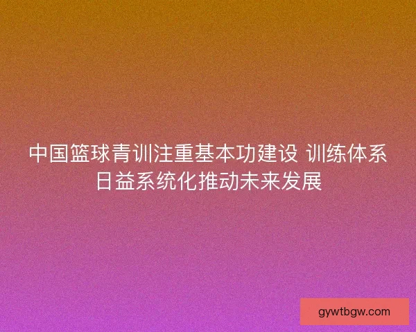 中国篮球青训注重基本功建设 训练体系日益系统化推动未来发展