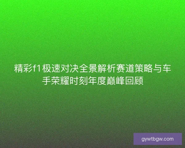 精彩f1极速对决全景解析赛道策略与车手荣耀时刻年度巅峰回顾
